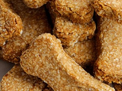 Healthy 4-Ingredient Dog Biscuits