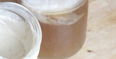 DIY Gluten-free Sourdough Starter