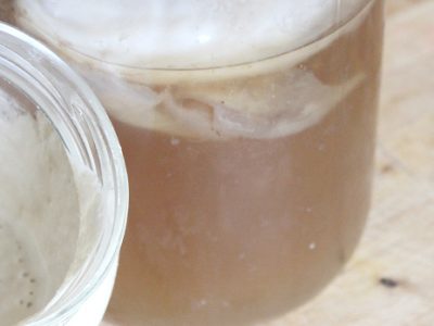 DIY Gluten-free Sourdough Starter