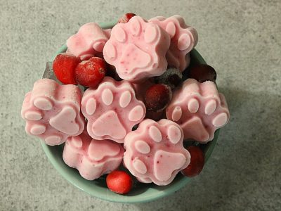 Probiotic Cranberry Dog Treats